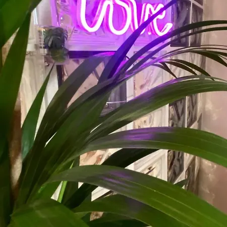 Apartman Skyline Arena *